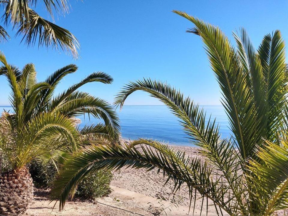 Ola Laguna Beach Vera Playa Dış mekan fotoğraf